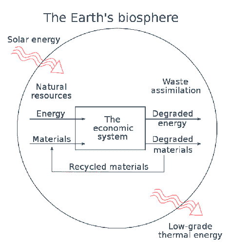 Humanity's economic system viewed as a subsystem of the global environment.