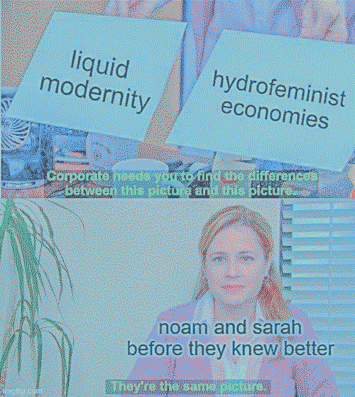 Hydrofeminist Economy is different from 'liquid' neoliberal modernity.