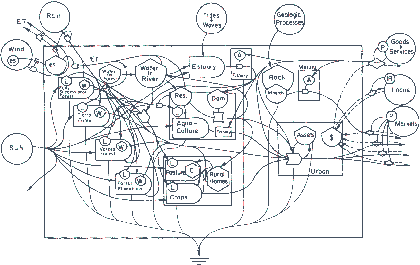 A complex diagram of the Amazon Basin's ecological economy, illustrating the flow of energy between forest areas, hydroelectric dams, rural land, and urban centers.